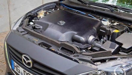 Hier versteckt sich der Diesotto.