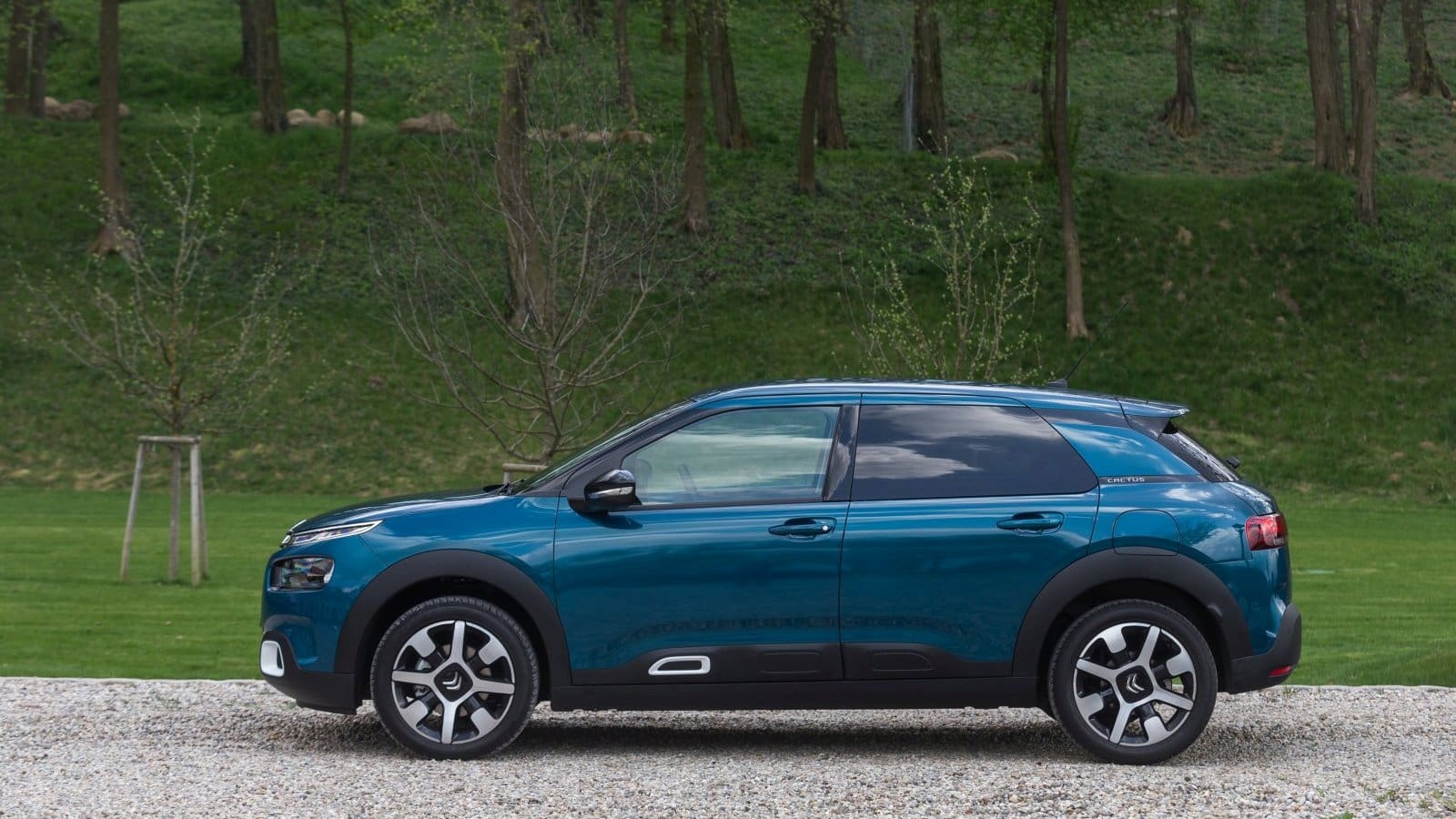 TEST: Citron C4 Cactus Shine PureTech 130 S&S - ALLES AUTO